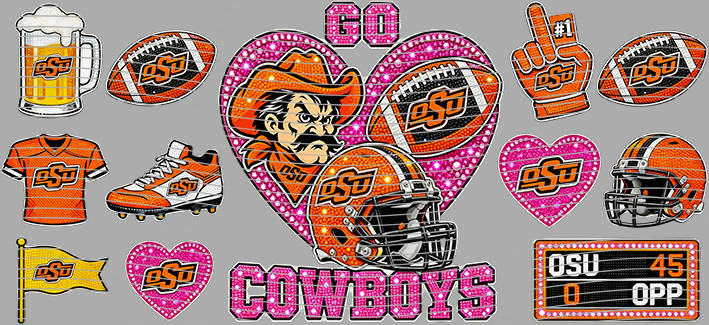 16oz team-NFL 3637